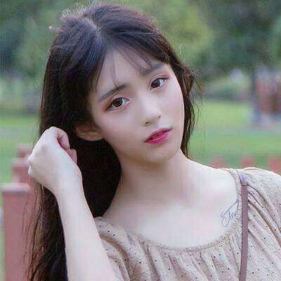 口袋妖怪ar搜索者汉化版下载